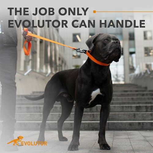 Evolutor Extra Heavy Duty Dog Leash (4ft)
